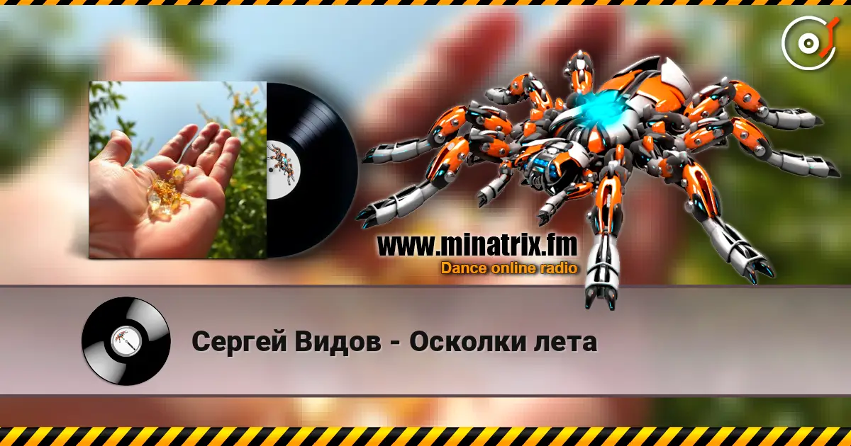 Сергей Видов - Осколки лета escuchar online en alta calidad | Minatrix.FM