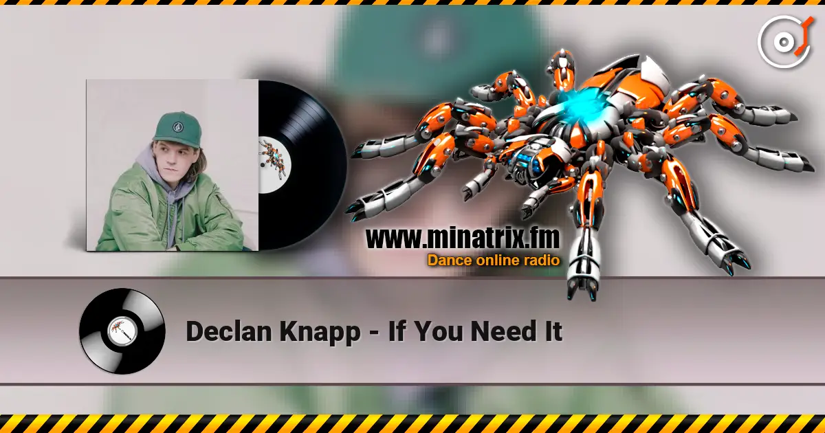 Declan Knapp - If You Need It escuchar online en alta calidad | Minatrix.FM
